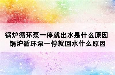 锅炉循环泵一停就出水是什么原因 锅炉循环泵一停就回水什么原因